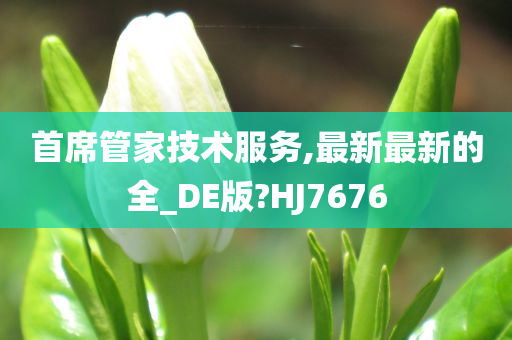 首席管家技术服务,最新最新的全_DE版?HJ7676