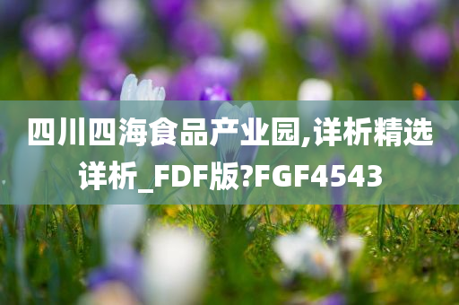 四川四海食品产业园,详析精选详析_FDF版?FGF4543