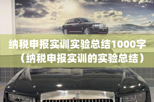 纳税申报实训实验总结1000字（纳税申报实训的实验总结）