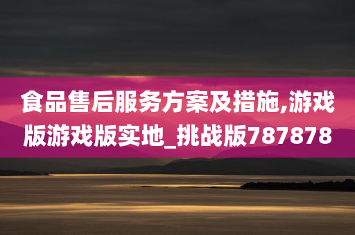 食品售后服务方案及措施,游戏版游戏版实地_挑战版787878