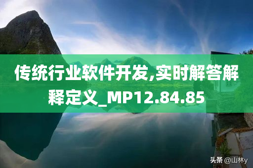 传统行业软件开发,实时解答解释定义_MP12.84.85