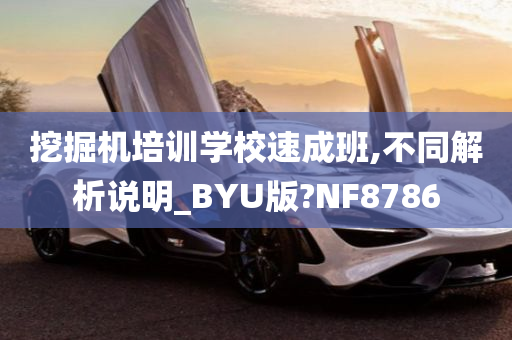 挖掘机培训学校速成班,不同解析说明_BYU版?NF8786