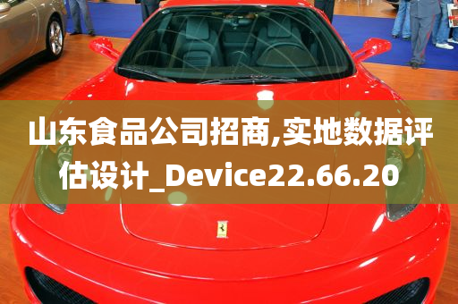 山东食品公司招商,实地数据评估设计_Device22.66.20