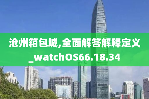 沧州箱包城,全面解答解释定义_watchOS66.18.34