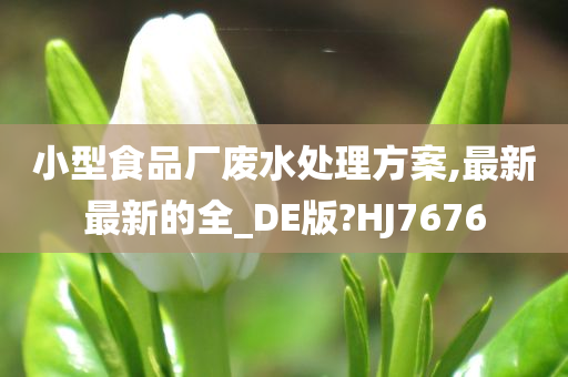 小型食品厂废水处理方案,最新最新的全_DE版?HJ7676