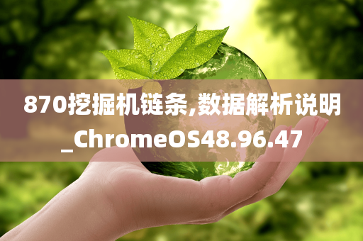 870挖掘机链条,数据解析说明_ChromeOS48.96.47