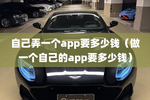 自己弄一个app要多少钱（做一个自己的app要多少钱）