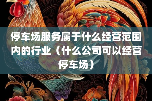 停车场服务属于什么经营范围内的行业（什么公司可以经营停车场）