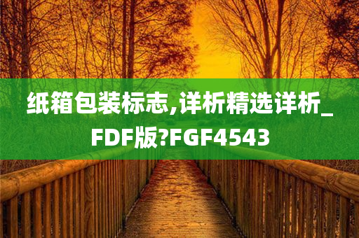 纸箱包装标志,详析精选详析_FDF版?FGF4543