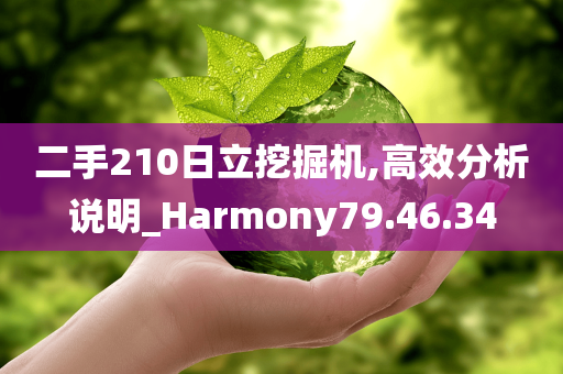 二手210日立挖掘机,高效分析说明_Harmony79.46.34