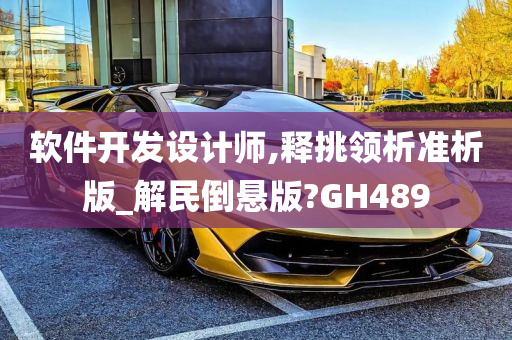 软件开发设计师,释挑领析准析版_解民倒悬版?GH489