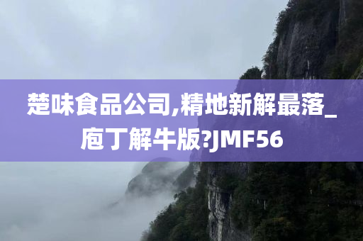 楚味食品公司,精地新解最落_庖丁解牛版?JMF56