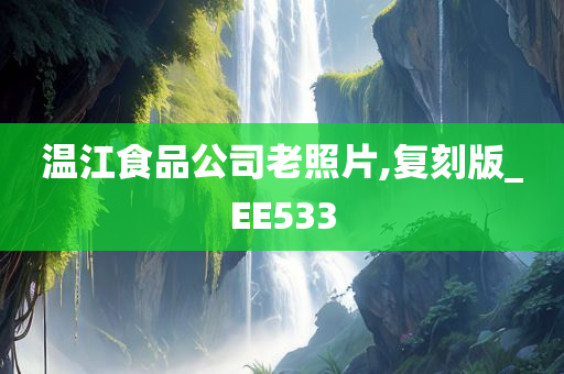 温江食品公司老照片,复刻版_EE533