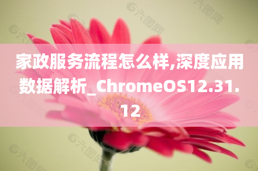 家政服务流程怎么样,深度应用数据解析_ChromeOS12.31.12