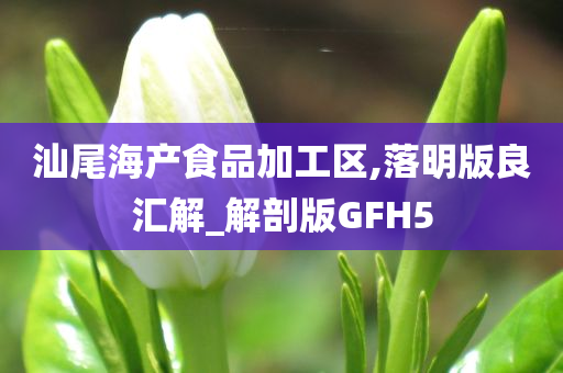 汕尾海产食品加工区,落明版良汇解_解剖版GFH5