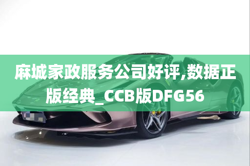 麻城家政服务公司好评,数据正版经典_CCB版DFG56