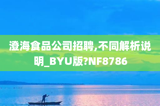 澄海食品公司招聘,不同解析说明_BYU版?NF8786