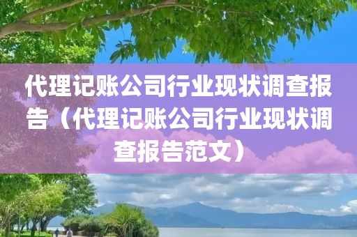 代理记账公司行业现状调查报告（代理记账公司行业现状调查报告范文）