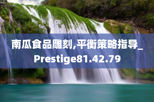 南瓜食品雕刻,平衡策略指导_Prestige81.42.79