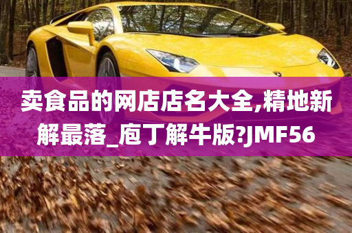 卖食品的网店店名大全,精地新解最落_庖丁解牛版?JMF56