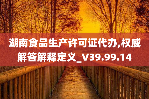 湖南食品生产许可证代办,权威解答解释定义_V39.99.14