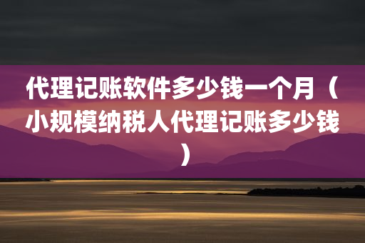 代理记账软件多少钱一个月（小规模纳税人代理记账多少钱）