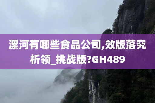 漯河有哪些食品公司,效版落究析领_挑战版?GH489