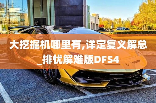 大挖掘机哪里有,详定复义解总_排忧解难版DFS4