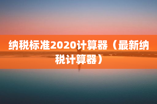 纳税标准2020计算器（最新纳税计算器）