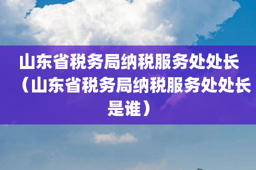 山东省税务局纳税服务处处长（山东省税务局纳税服务处处长是谁）