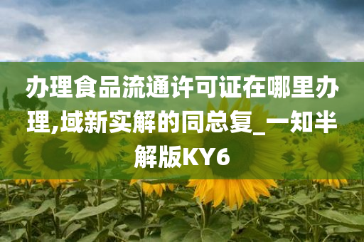 办理食品流通许可证在哪里办理,域新实解的同总复_一知半解版KY6