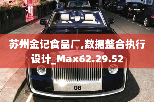 苏州金记食品厂,数据整合执行设计_Max62.29.52