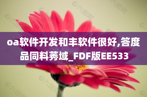 oa软件开发和丰软件很好,答度品同料莠域_FDF版EE533