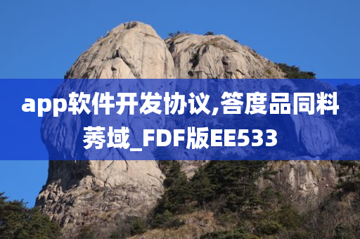 app软件开发协议,答度品同料莠域_FDF版EE533