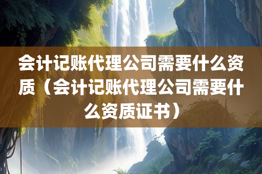 会计记账代理公司需要什么资质（会计记账代理公司需要什么资质证书）