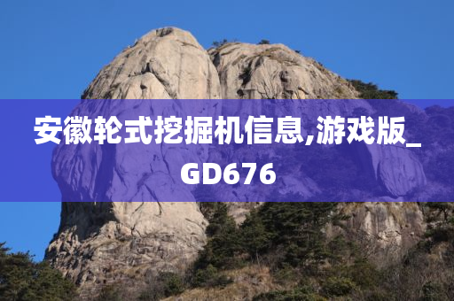 安徽轮式挖掘机信息,游戏版_GD676