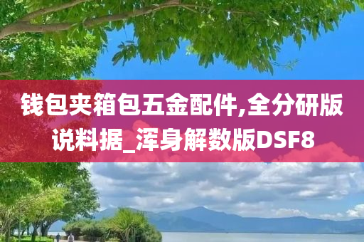 钱包夹箱包五金配件,全分研版说料据_浑身解数版DSF8