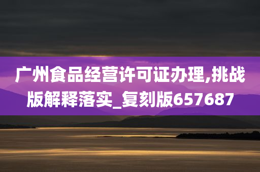 广州食品经营许可证办理,挑战版解释落实_复刻版657687