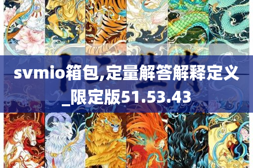 svmio箱包,定量解答解释定义_限定版51.53.43