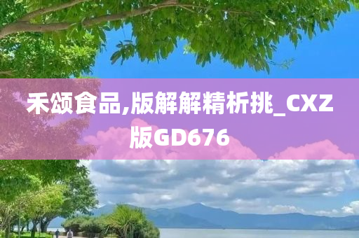 禾颂食品,版解解精析挑_CXZ版GD676