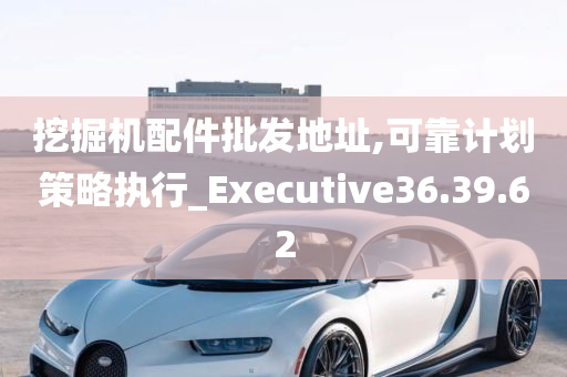 挖掘机配件批发地址,可靠计划策略执行_Executive36.39.62