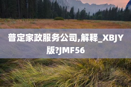 普定家政服务公司,解释_XBJY版?JMF56