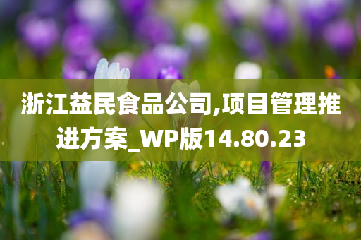 浙江益民食品公司,项目管理推进方案_WP版14.80.23