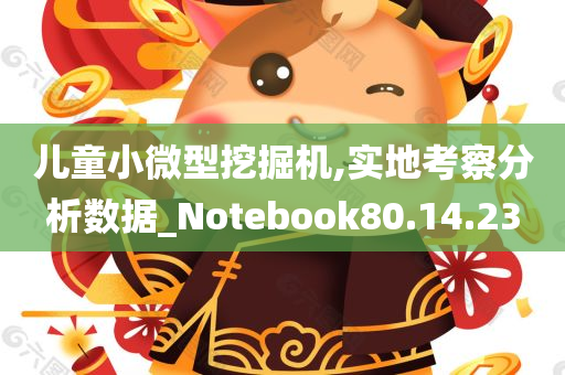 儿童小微型挖掘机,实地考察分析数据_Notebook80.14.23