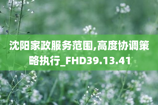 沈阳家政服务范围,高度协调策略执行_FHD39.13.41