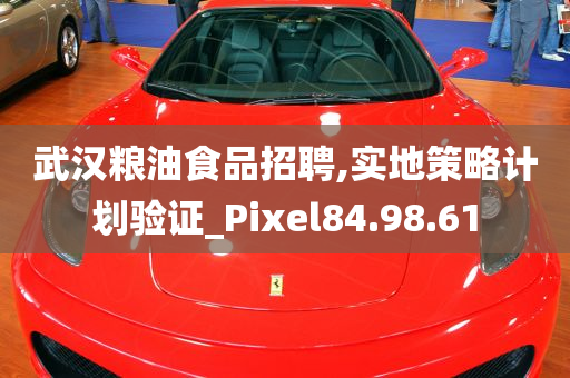 武汉粮油食品招聘,实地策略计划验证_Pixel84.98.61