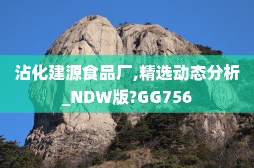 沾化建源食品厂,精选动态分析_NDW版?GG756