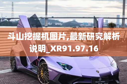 斗山挖掘机图片,最新研究解析说明_XR91.97.16