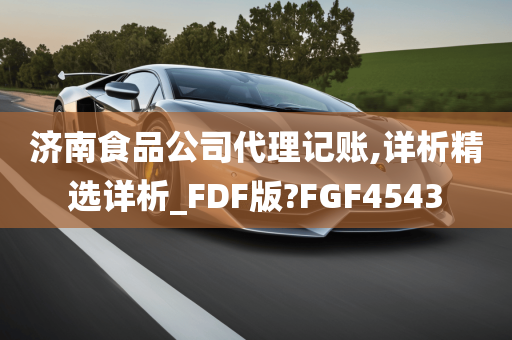 济南食品公司代理记账,详析精选详析_FDF版?FGF4543