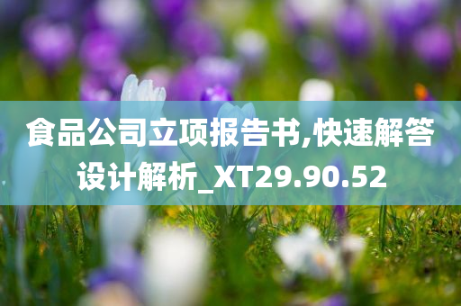 食品公司立项报告书,快速解答设计解析_XT29.90.52